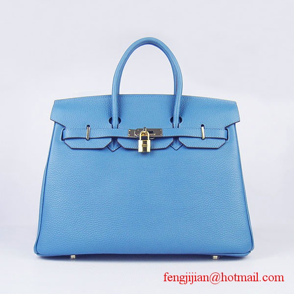 Hermes 35cm Embossed Veins Leather Bag Bule 6089 Gold Hardware